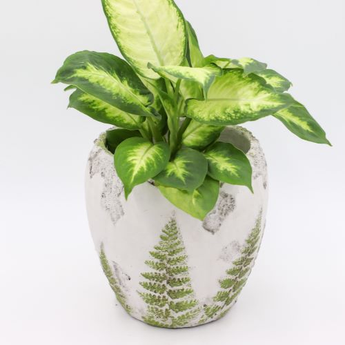 Fotografia-produktowa-1