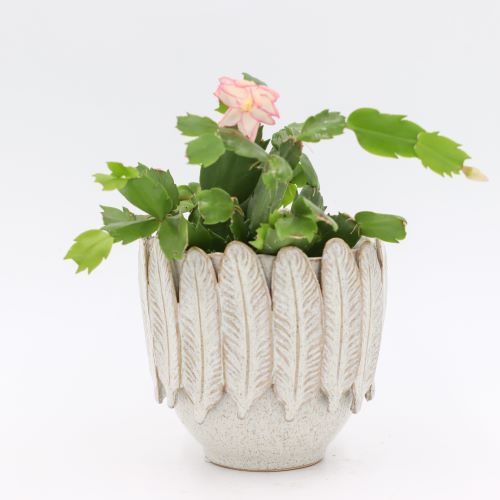 Fotografia-produktowa-2