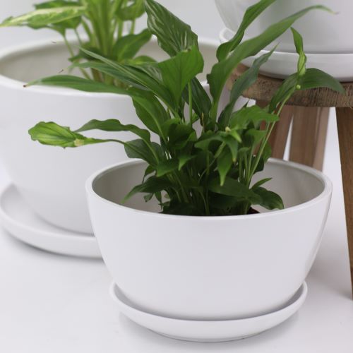 Fotografia-produktowa-5